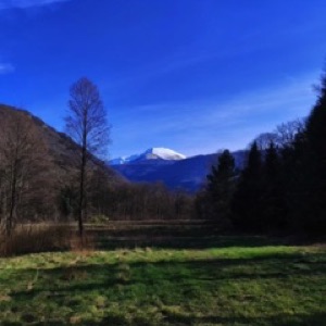 Découverte du château de Vizille et de son parc 🤩.#moutain #nature #park